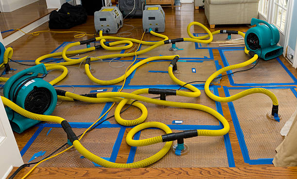 Professional Basement Flood Cleanup technician working in Bogart, GA